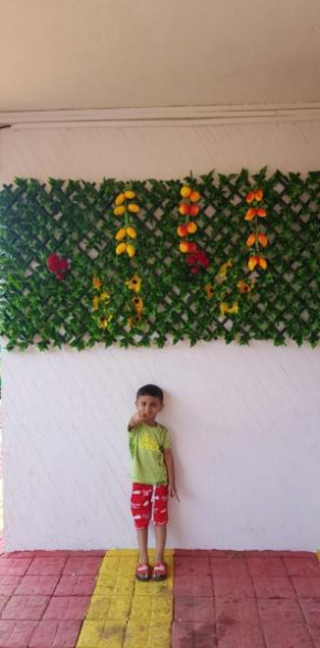 Panchgani Villa 3bhk